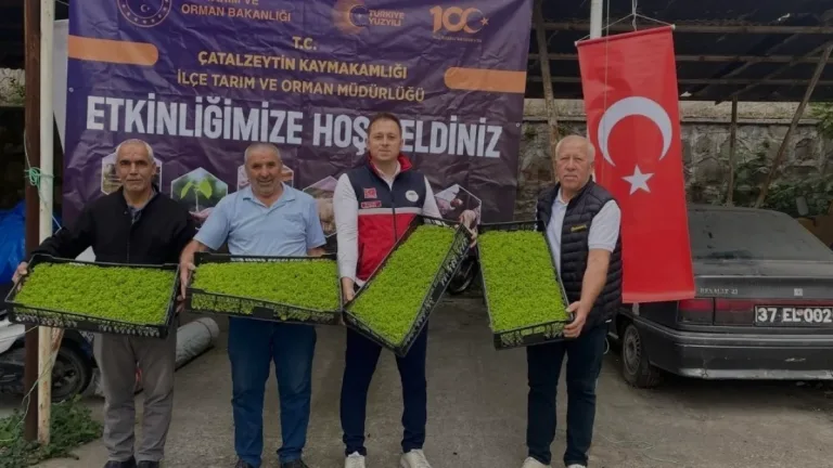 Çatalzeytinli üreticiye yüzde 75 hibeli fide desteği