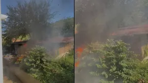 Cide’de çıkan yangın ahırı kullanılamaz hale getirdi