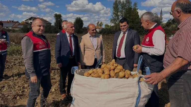 Devrekani ilçesinde patates hasadı dönemine girildi